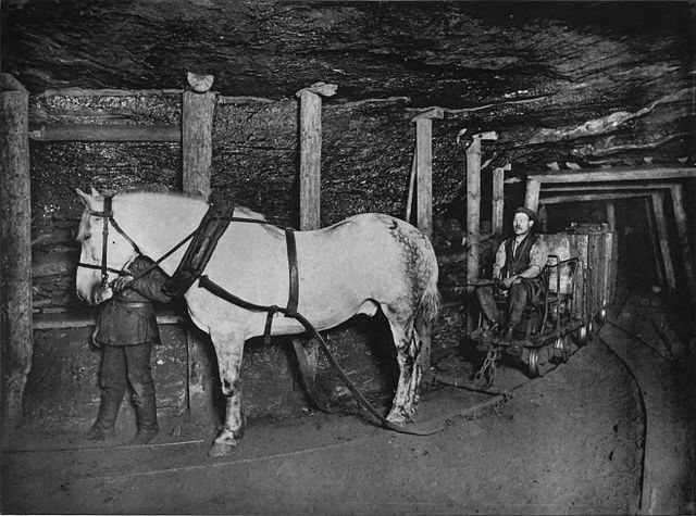 Photograph of a pit pony working in the mines