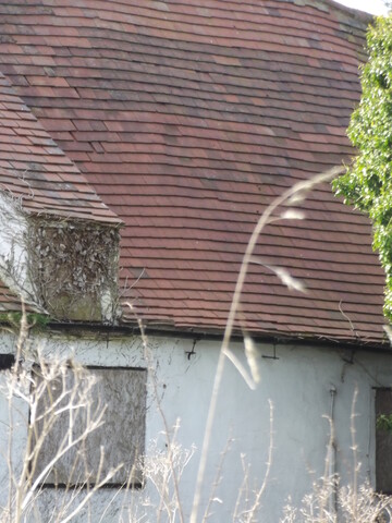 Windrome Cottage