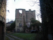 OLYMPUS DIGITAL CAMERA