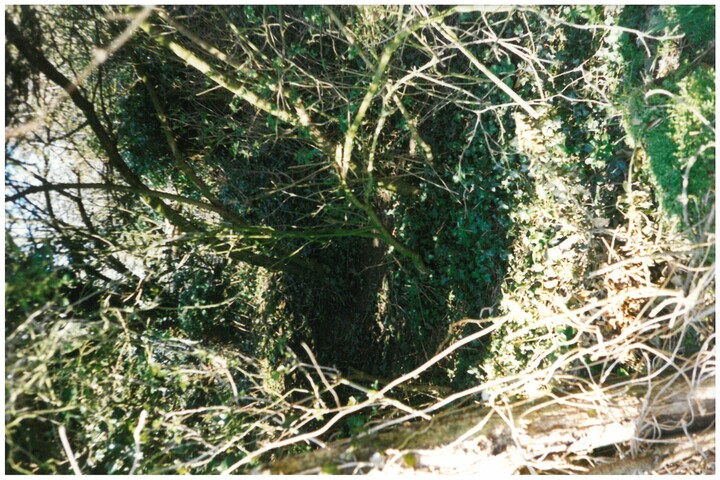 Image from Nottinghamshire HER collection - contact us for details