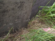 Headstone 6 in group of Headstones approximately 12 metres South of South Transept of Old Church of St Mary, New Road, Colston Bassett