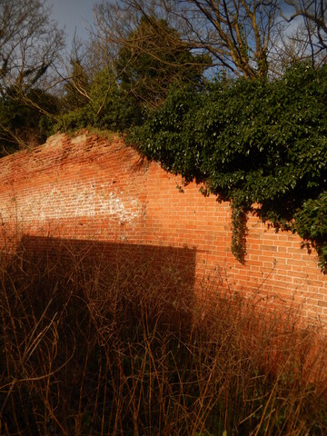 Gedling House Walled Garden