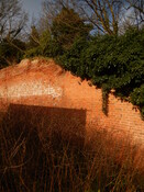 Gedling House Walled Garden