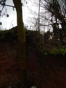 Gedling House Walled Garden