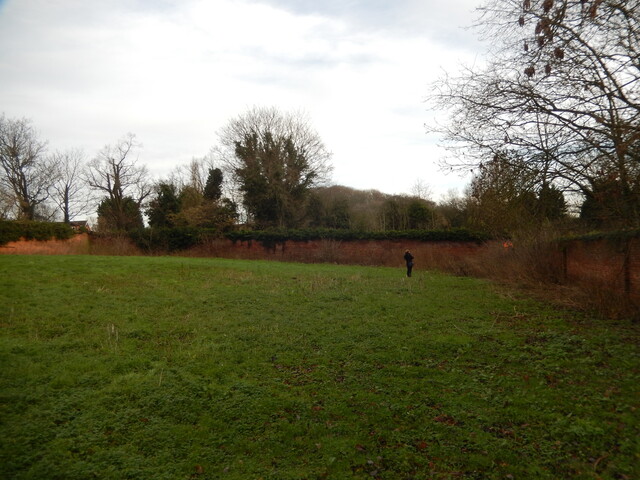 Gedling House Walled Garden