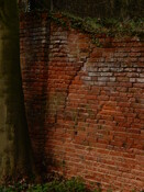 Gedling House Walled Garden