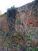 Gedling House Walled Garden