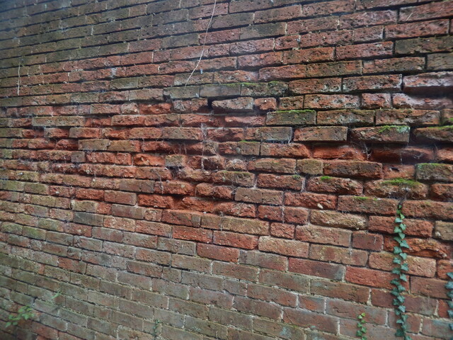 Gedling House Walled Garden