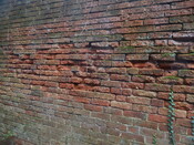 Gedling House Walled Garden