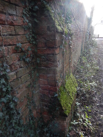 Gedling House Walled Garden
