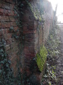 Gedling House Walled Garden