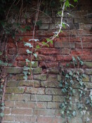 Gedling House Walled Garden