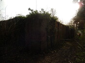 Gedling House Walled Garden