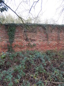 Gedling House Walled Garden