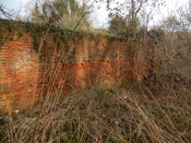 Gedling House Walled Garden