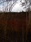 Gedling House Walled Garden