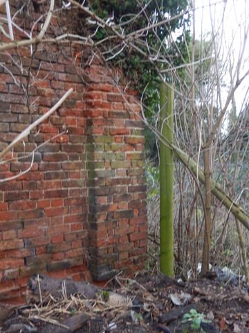 Gedling House Walled Garden