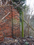 Gedling House Walled Garden