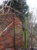 Gedling House Walled Garden