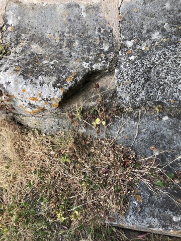 The Village Cross