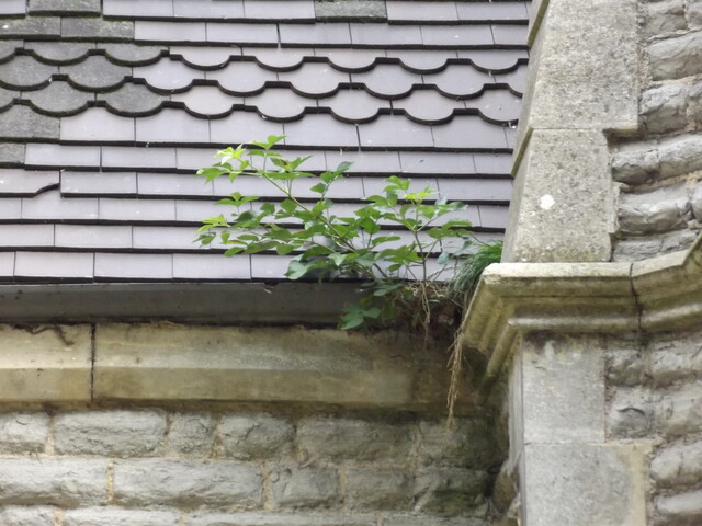 Cemetery Chapels, London Road, Newark
