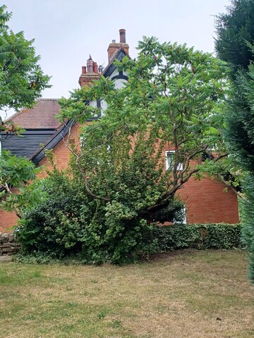 9 Church St., Edwinstowe, Mansfield, NG21 9QA.19.07.2022 (1)