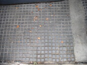 Farmsteads Survey Yr2