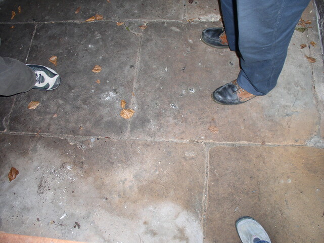 Farmsteads Survey Yr2