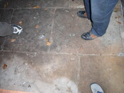 Farmsteads Survey Yr2