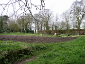 Farmsteads Survey Yr2