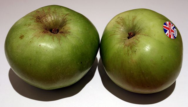 Photograph of two Bramley apples
